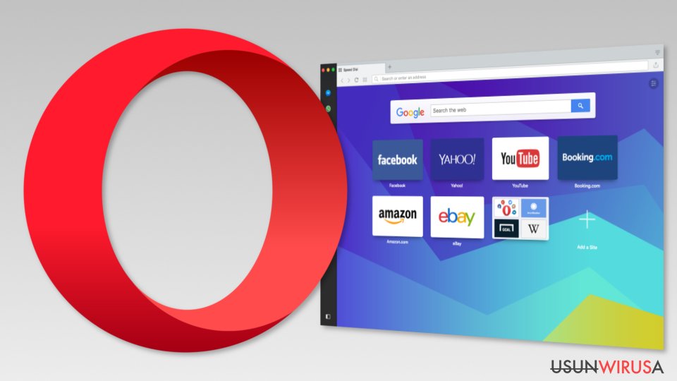 Image of Opera browser