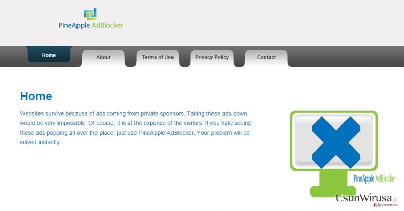 Reklamy PineApple AdBlocker snapshot Reklamy PineApple AdBlocker snapshot
