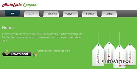 Adware AutoSale Coupon snapshot Adware AutoSale Coupon snapshot