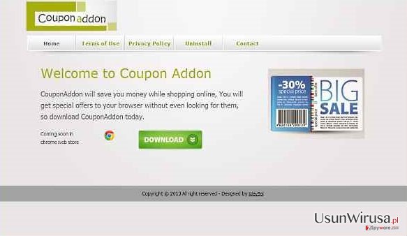 Wirus CouponAddon snapshot Wirus CouponAddon snapshot