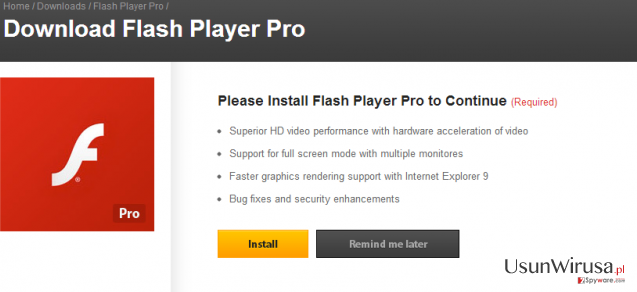 Flash Player Pro virus snapshot Flash Player Pro virus snapshot