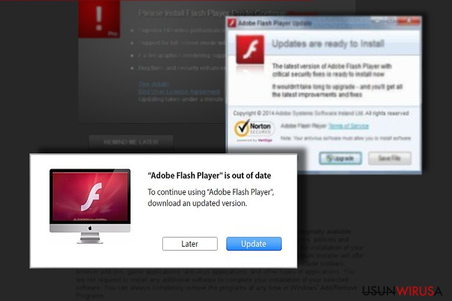 how to update adobe flash player