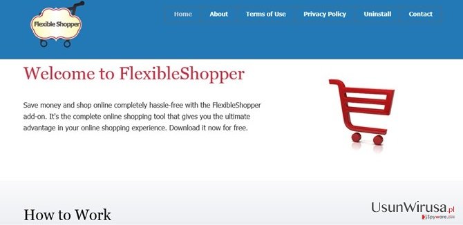 Reklamy FlexibleShopper snapshot Reklamy FlexibleShopper snapshot
