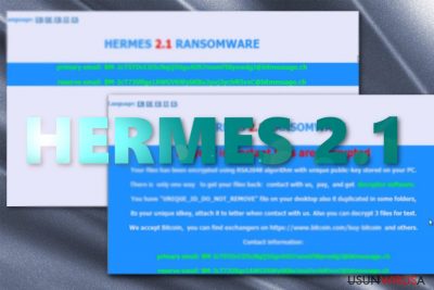 Prezentacja żądań okupu wirusa Hermes 2.1