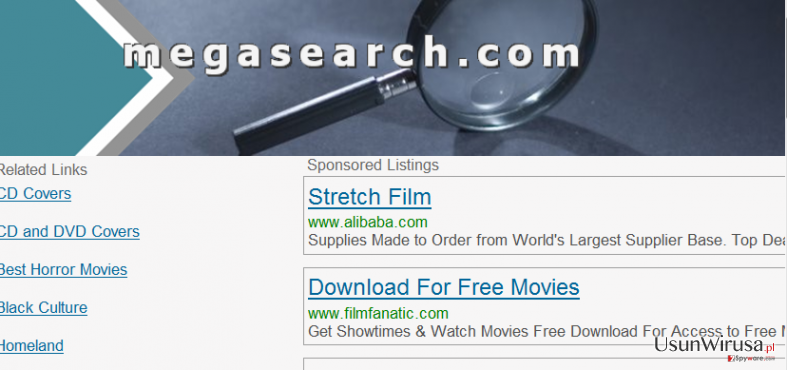 MegaSearch snapshot MegaSearch snapshot