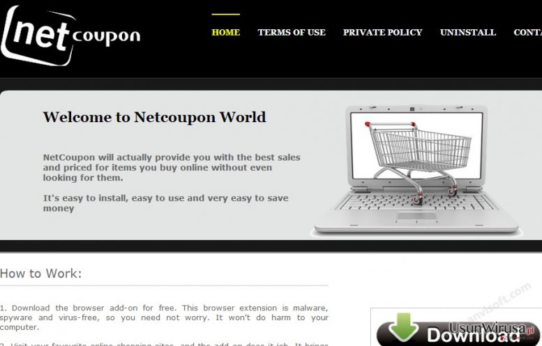 NetCoupon virus snapshot NetCoupon virus snapshot