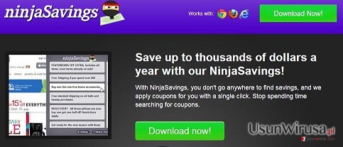 Ninja Savings snapshot Ninja Savings snapshot