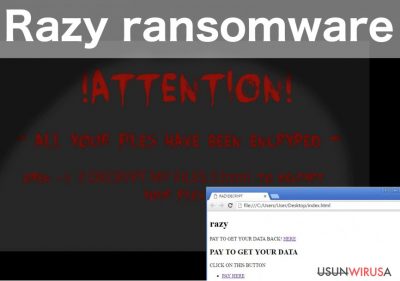 Razy ransomware virus