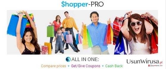 Shopper Pro snapshot Shopper Pro snapshot