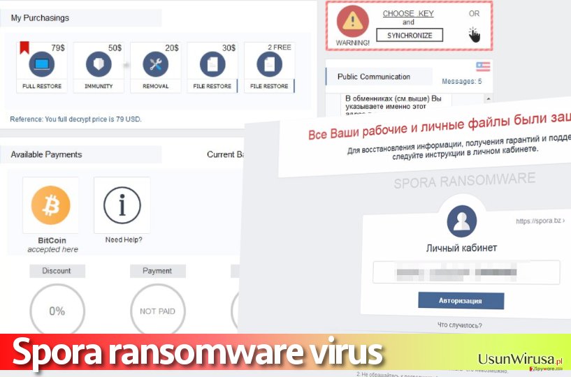 Zrzut ekranu ze strony do dokonania płatności na rzecz wirusa Spora