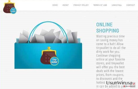 TinyWallet ads snapshot TinyWallet ads snapshot
